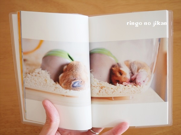 f:id:ringo_co:20191121235556j:plain