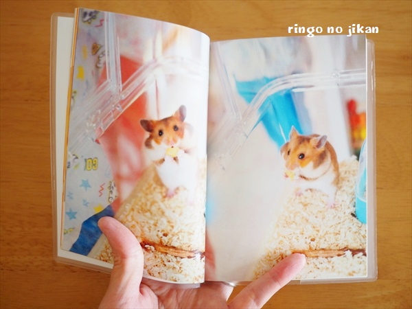 f:id:ringo_co:20191121235607j:plain