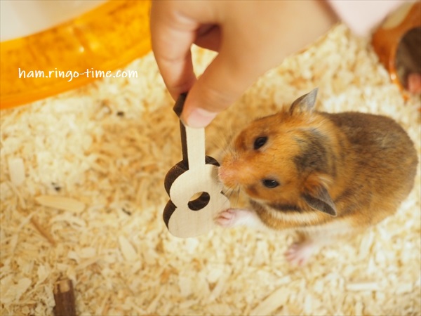 f:id:ringo_co:20191130101326j:plain f:id:ringo_co:20191130101326j:plain