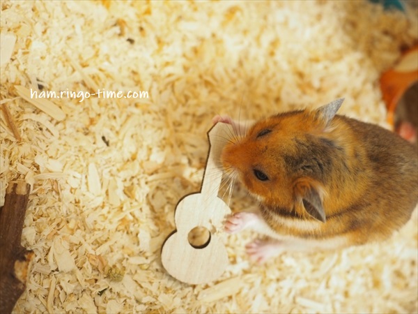 f:id:ringo_co:20191130101401j:plain f:id:ringo_co:20191130101401j:plain