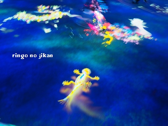 f:id:ringo_co:20200121104455j:plain