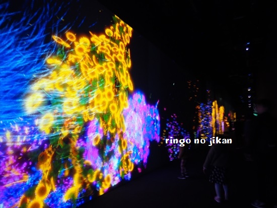f:id:ringo_co:20200121111720j:plain