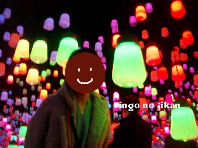 f:id:ringo_co:20200121112854j:plain