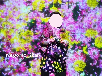 f:id:ringo_co:20200121113238j:plain