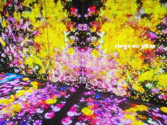 f:id:ringo_co:20200121130937j:plain
