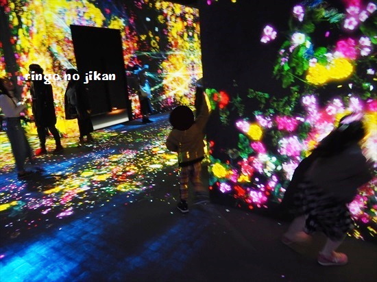 f:id:ringo_co:20200121130947j:plain