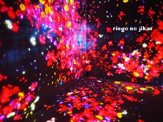 f:id:ringo_co:20200121130958j:plain