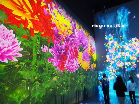 f:id:ringo_co:20200121131122j:plain