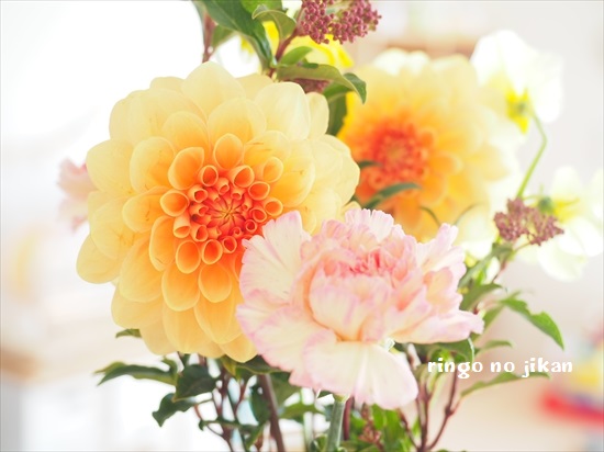 f:id:ringo_co:20200201235248j:plain
