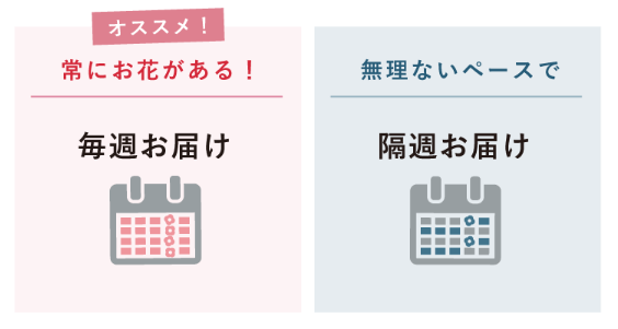 f:id:ringo_co:20200225143605p:plain f:id:ringo_co:20200225143605p:plain