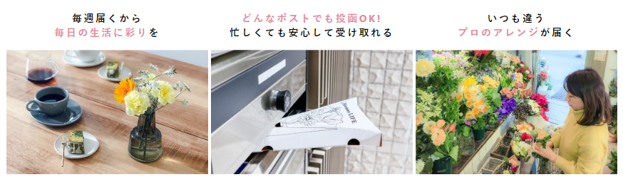f:id:ringo_co:20200225143826j:plain