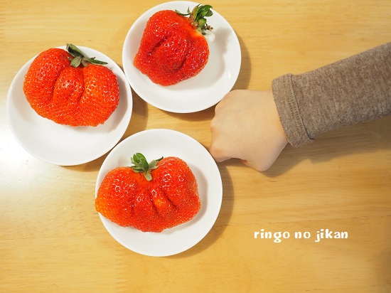 f:id:ringo_co:20200225235600j:plain f:id:ringo_co:20200225235600j:plain
