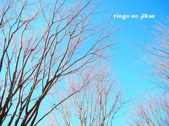 f:id:ringo_co:20200228083756j:plain f:id:ringo_co:20200228083756j:plain