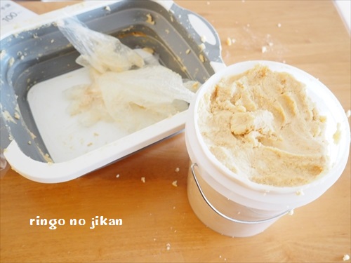 f:id:ringo_co:20200312133757j:plain