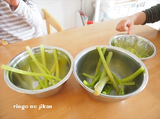 f:id:ringo_co:20200331235921j:plain