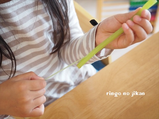 f:id:ringo_co:20200401000118j:plain