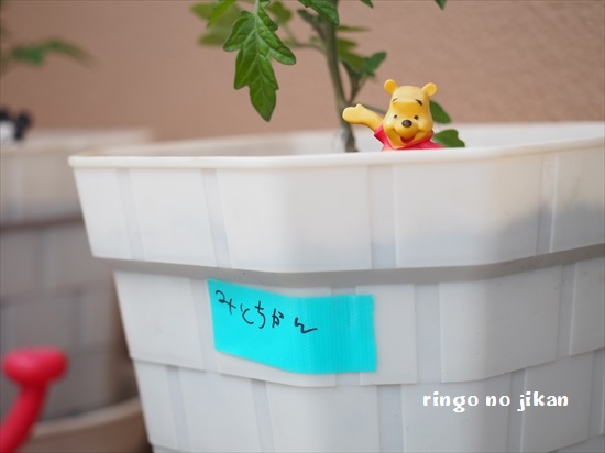 f:id:ringo_co:20200412223757j:plain