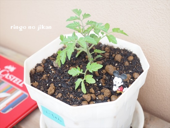 f:id:ringo_co:20200412223808j:plain