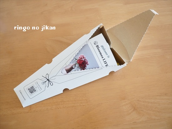 f:id:ringo_co:20200413224245j:plain