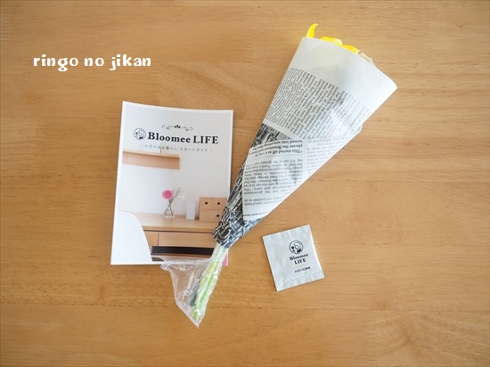 f:id:ringo_co:20200413224331j:plain