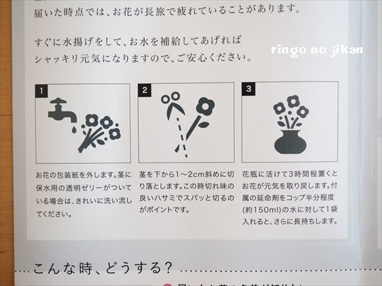 f:id:ringo_co:20200413224711j:plain