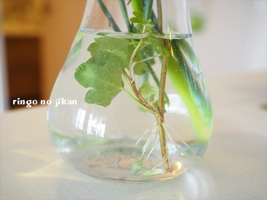 f:id:ringo_co:20200510230748j:plain f:id:ringo_co:20200510230748j:plain