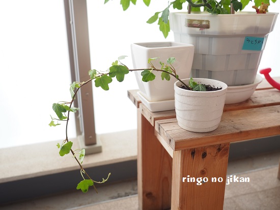f:id:ringo_co:20200510231035j:plain f:id:ringo_co:20200510231035j:plain