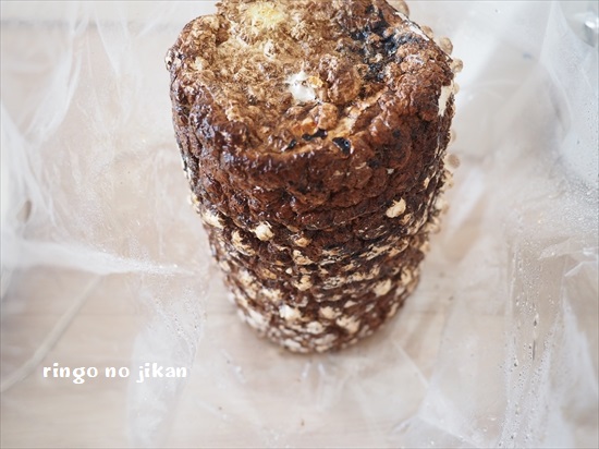 f:id:ringo_co:20200517150833j:plain