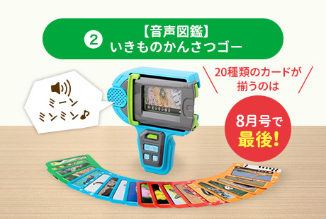 f:id:ringo_co:20200707104853p:plain