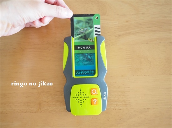 f:id:ringo_co:20200707135348j:plain