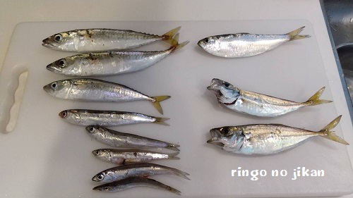 f:id:ringo_co:20200725225448j:plain