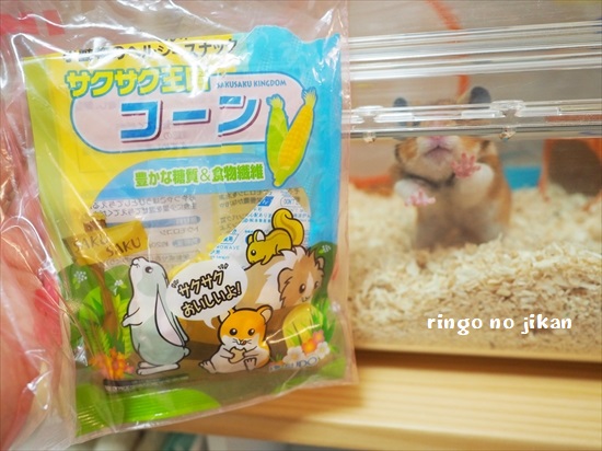 f:id:ringo_co:20200727094705j:plain