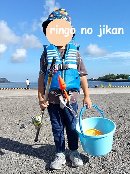 f:id:ringo_co:20200830230647j:plain f:id:ringo_co:20200830230647j:plain