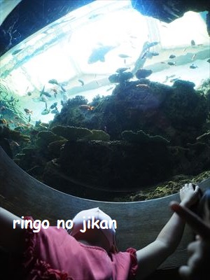 f:id:ringo_co:20201017221039j:plain f:id:ringo_co:20201017221039j:plain