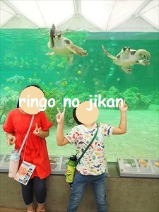 f:id:ringo_co:20201017221224j:plain f:id:ringo_co:20201017221224j:plain