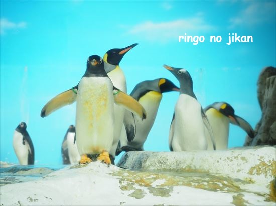 f:id:ringo_co:20201017221253j:plain f:id:ringo_co:20201017221253j:plain