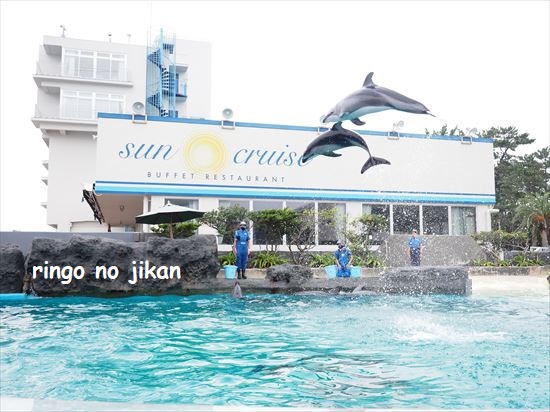 f:id:ringo_co:20201017221322j:plain f:id:ringo_co:20201017221322j:plain