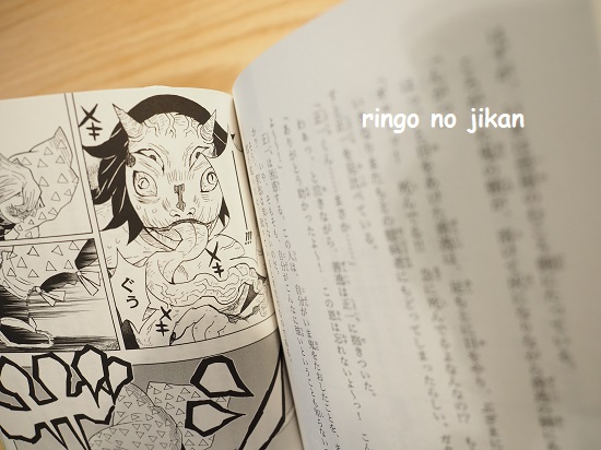 f:id:ringo_co:20201117223755j:plain