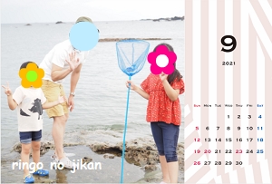 f:id:ringo_co:20201222125042j:plain