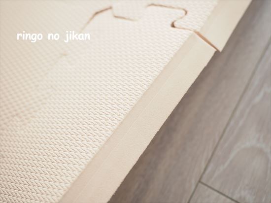 f:id:ringo_co:20210110122221j:plain