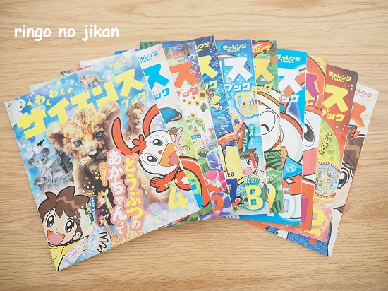 f:id:ringo_co:20210118133322j:plain