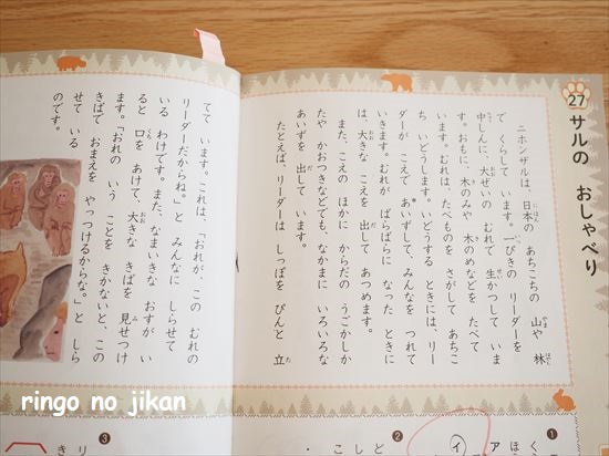 f:id:ringo_co:20210125141633j:plain