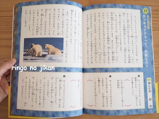 f:id:ringo_co:20210125141801j:plain