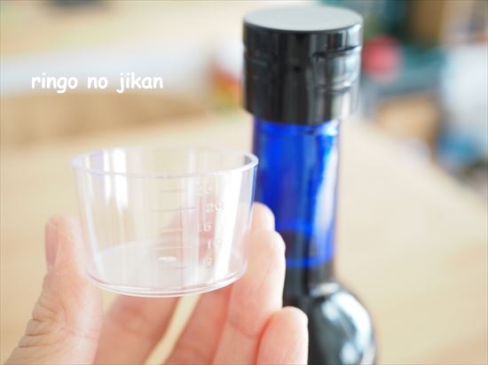 f:id:ringo_co:20210202094246j:plain