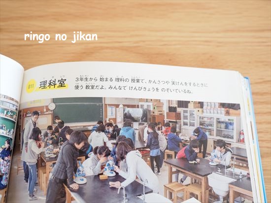 f:id:ringo_co:20210301221102j:plain
