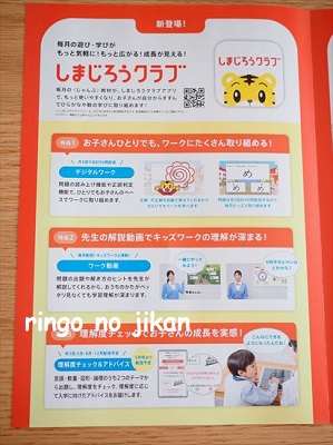 f:id:ringo_co:20210308234346j:plain