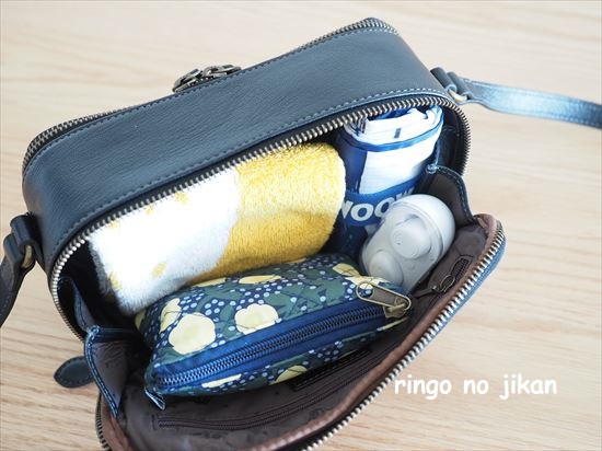 f:id:ringo_co:20210311122733j:plain