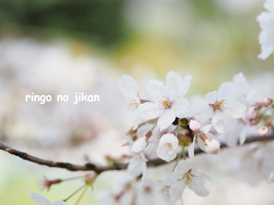 f:id:ringo_co:20210328224028j:plain