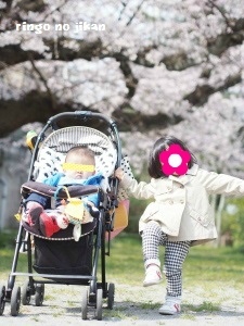 f:id:ringo_co:20210328225029j:plain