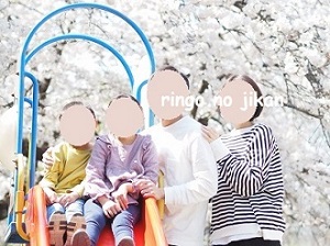 f:id:ringo_co:20210328230440j:plain